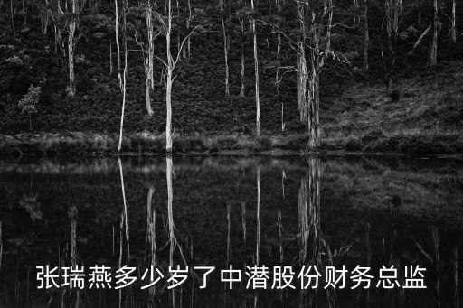 深圳市英唐智能控制股份有限公司