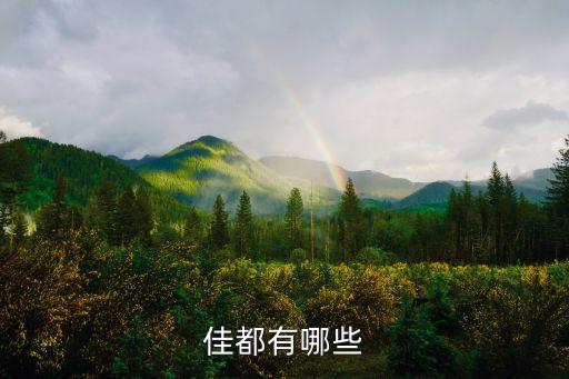 佳都有哪些