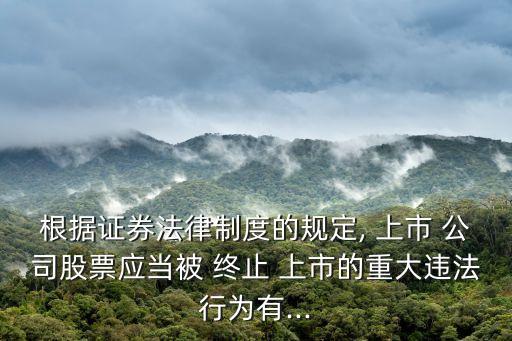 根據(jù)證券法律制度的規(guī)定, 上市 公司股票應(yīng)當被 終止 上市的重大違法行為有...