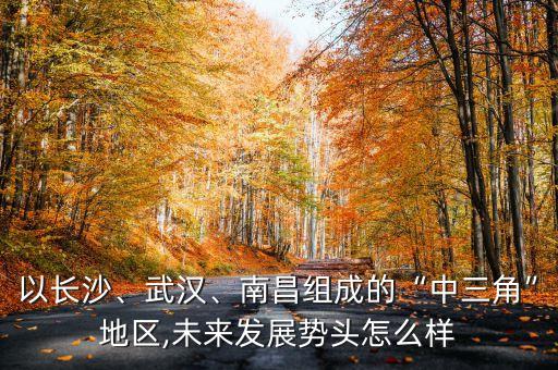 以長沙、武漢、南昌組成的“中三角”地區(qū),未來發(fā)展勢頭怎么樣