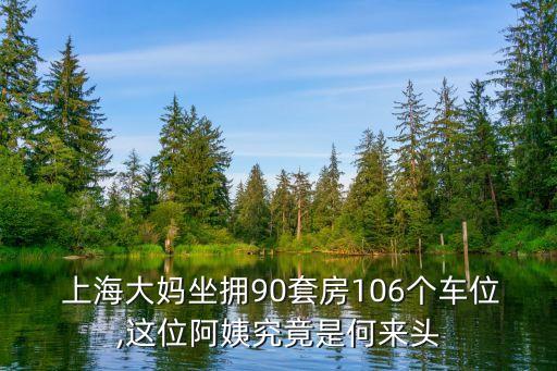 上海大媽坐擁90套房106個(gè)車位,這位阿姨究竟是何來(lái)頭