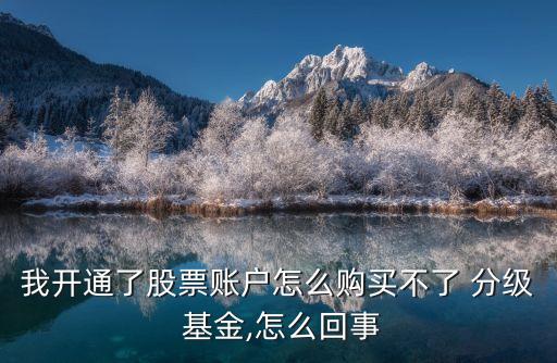 我開(kāi)通了股票賬戶怎么購(gòu)買不了 分級(jí) 基金,怎么回事