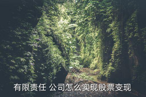 有限責任 公司怎么實現股票變現