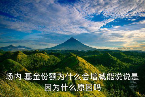 場(chǎng)內(nèi) 基金份額為什么會(huì)增減能說說是因?yàn)槭裁丛騿? class=