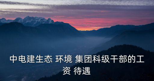 中電建生態(tài) 環(huán)境 集團(tuán)科級干部的工資 待遇