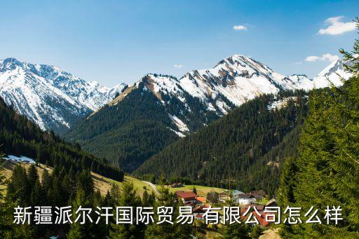 新疆派爾汗國際貿易 有限公司怎么樣