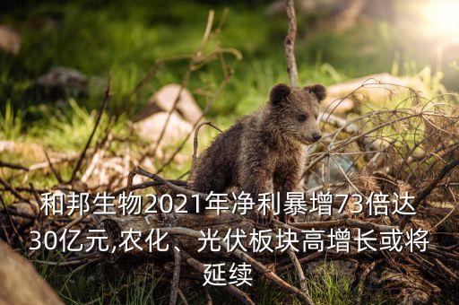 和邦生物2021年凈利暴增73倍達(dá)30億元,農(nóng)化、光伏板塊高增長(zhǎng)或?qū)⒀永m(xù)