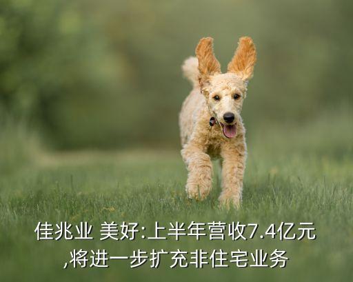 佳兆業(yè) 美好:上半年營收7.4億元,將進一步擴充非住宅業(yè)務