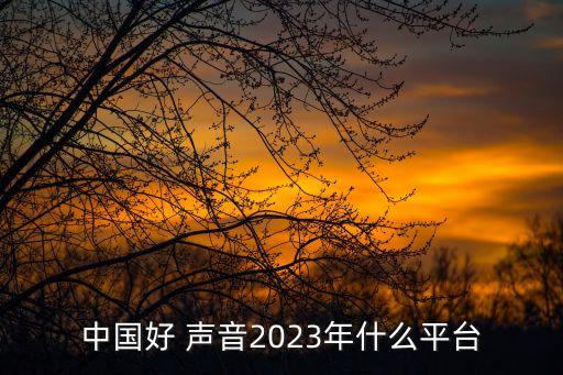 中國好 聲音2023年什么平臺(tái)