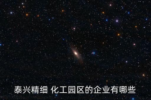 泰興精細(xì) 化工園區(qū)的企業(yè)有哪些