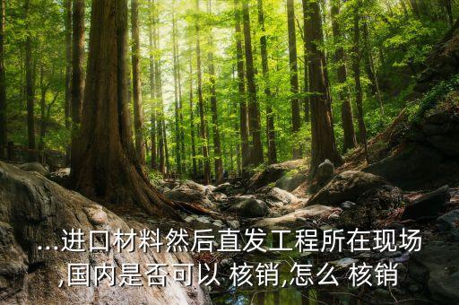 ...進口材料然后直發(fā)工程所在現(xiàn)場,國內(nèi)是否可以 核銷,怎么 核銷