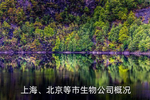  上海、北京等市生物公司概況