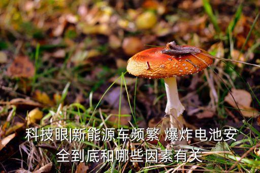 荊州能特科技公司爆炸