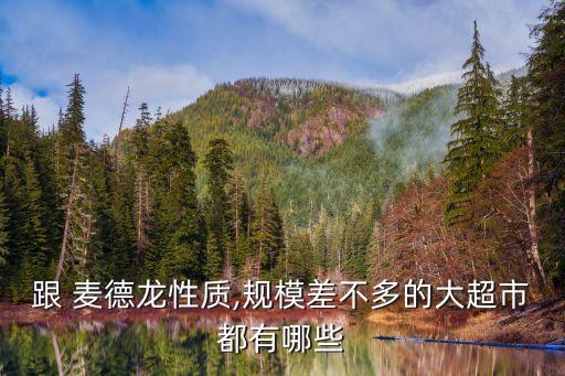 跟 麥德龍性質,規(guī)模差不多的大超市都有哪些