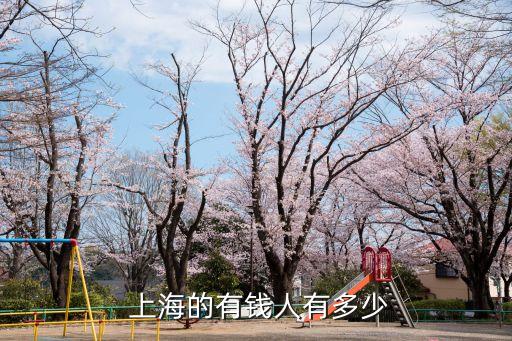 上海千萬富翁家庭,上海的千萬富翁的人數(shù)