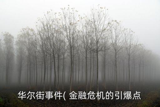華爾街事件( 金融危機的引爆點
