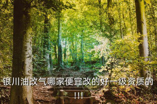 銀川油改氣哪家便宜改的好一級(jí)資質(zhì)的!!!