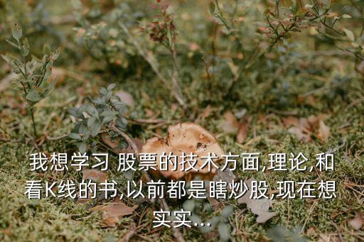 我想學(xué)習(xí) 股票的技術(shù)方面,理論,和看K線(xiàn)的書(shū),以前都是瞎炒股,現(xiàn)在想實(shí)實(shí)...