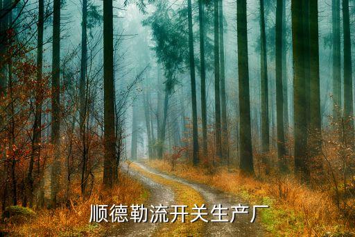  順德勒流開(kāi)關(guān)生產(chǎn)廠