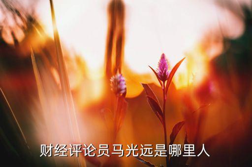 財(cái)經(jīng)評論員馬光遠(yuǎn)是哪里人
