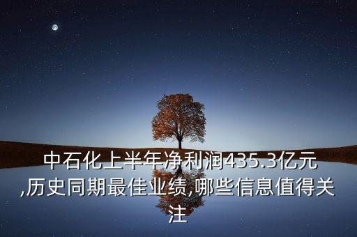  中石化上半年凈利潤(rùn)435.3億元,歷史同期最佳業(yè)績(jī),哪些信息值得關(guān)注