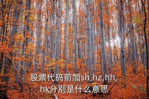 股票hk是什么意思,hk股票為什么買不了