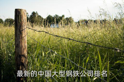 最新的中國大型鋼鐵公司排名