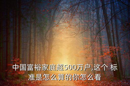 中國富裕家庭超500萬戶,這個 標(biāo)準是怎么算的你怎么看
