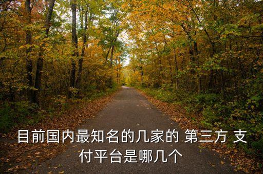 目前國內(nèi)最知名的幾家的 第三方 支付平臺(tái)是哪幾個(gè)