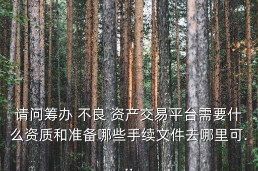 請問籌辦 不良 資產(chǎn)交易平臺需要什么資質(zhì)和準備哪些手續(xù)文件去哪里可...