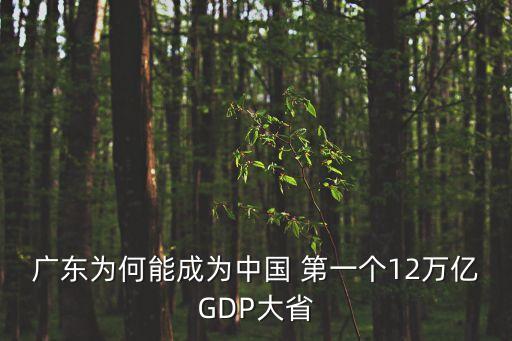 廣東為何能成為中國 第一個12萬億GDP大省