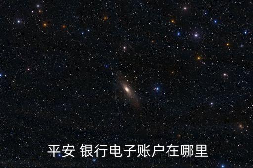  平安 銀行電子賬戶在哪里