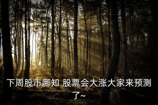 下周股市哪知 股票會(huì)大漲大家來(lái)預(yù)測(cè)了~