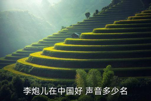 李炮兒在中國(guó)好 聲音多少名