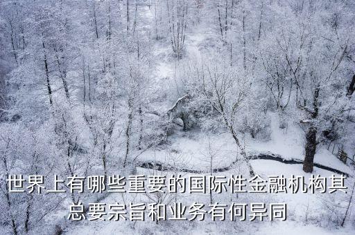 世界上有哪些重要的國際性金融機構(gòu)其總要宗旨和業(yè)務(wù)有何異同