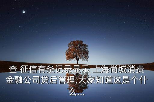 上海征信發(fā)展,中國人民銀行征信中心上海