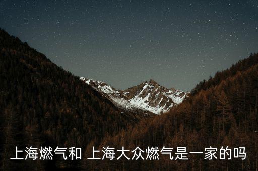 上海燃氣和 上海大眾燃氣是一家的嗎