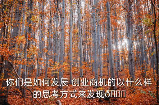你們是如何發(fā)展 創(chuàng)業(yè)商機(jī)的以什么樣的思考方式來(lái)發(fā)現(xiàn)?