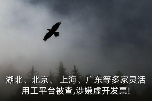 湖北、北京、 上海、廣東等多家靈活用工平臺被查,涉嫌虛開發(fā)票!