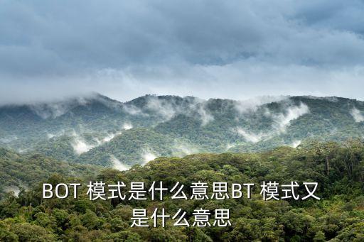 bt模式項目公司,ppp模式項目公司