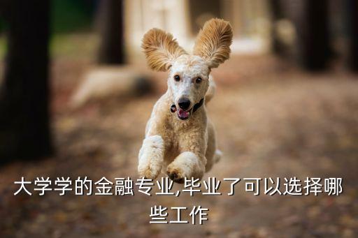 大學學的金融專業(yè),畢業(yè)了可以選擇哪些工作