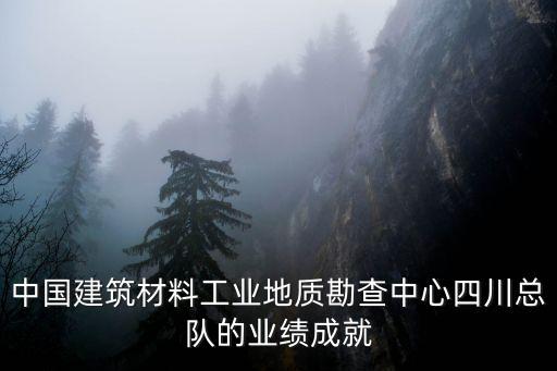 中國建筑材料工業(yè)地質勘查中心四川總隊的業(yè)績成就