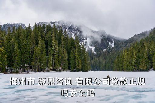 聚鼎控股集團有限公司,陜西西聚控股集團有限公司