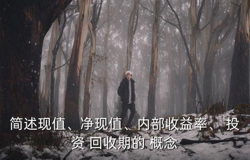 簡述現(xiàn)值、凈現(xiàn)值、內(nèi)部收益率、 投資 回收期的 概念