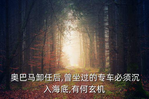 奧巴馬下臺(tái)中國有喘息時(shí)間嗎