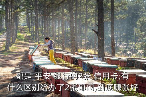 平安銀行信用卡二卡