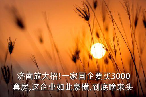  濟(jì)南放大招!一家國(guó)企要買3000套房,這企業(yè)如此豪橫,到底啥來頭