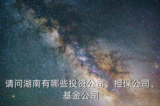 請問湖南有哪些投資公司、擔保公司、 基金公司