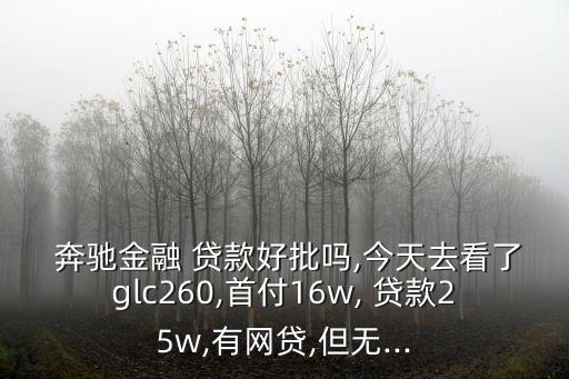  奔馳金融 貸款好批嗎,今天去看了glc260,首付16w, 貸款25w,有網(wǎng)貸,但無...