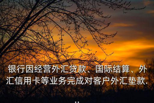  銀行因經(jīng)營(yíng)外匯貸款、國(guó)際結(jié)算、外匯信用卡等業(yè)務(wù)完成對(duì)客戶外匯墊款...